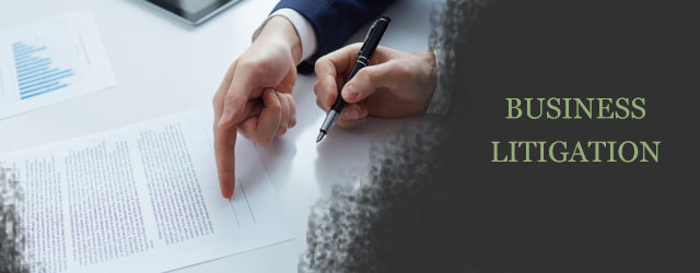 business-litigation-banner